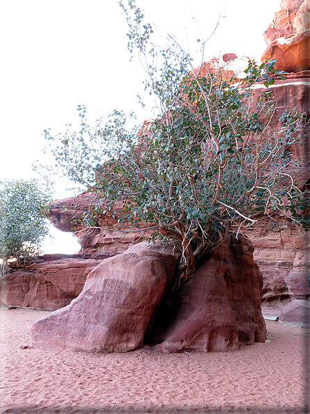 foto Wadi Rum